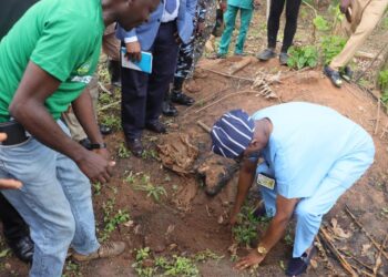 OAUTHC  Green Project : Launching Ambitious Tree-Planting